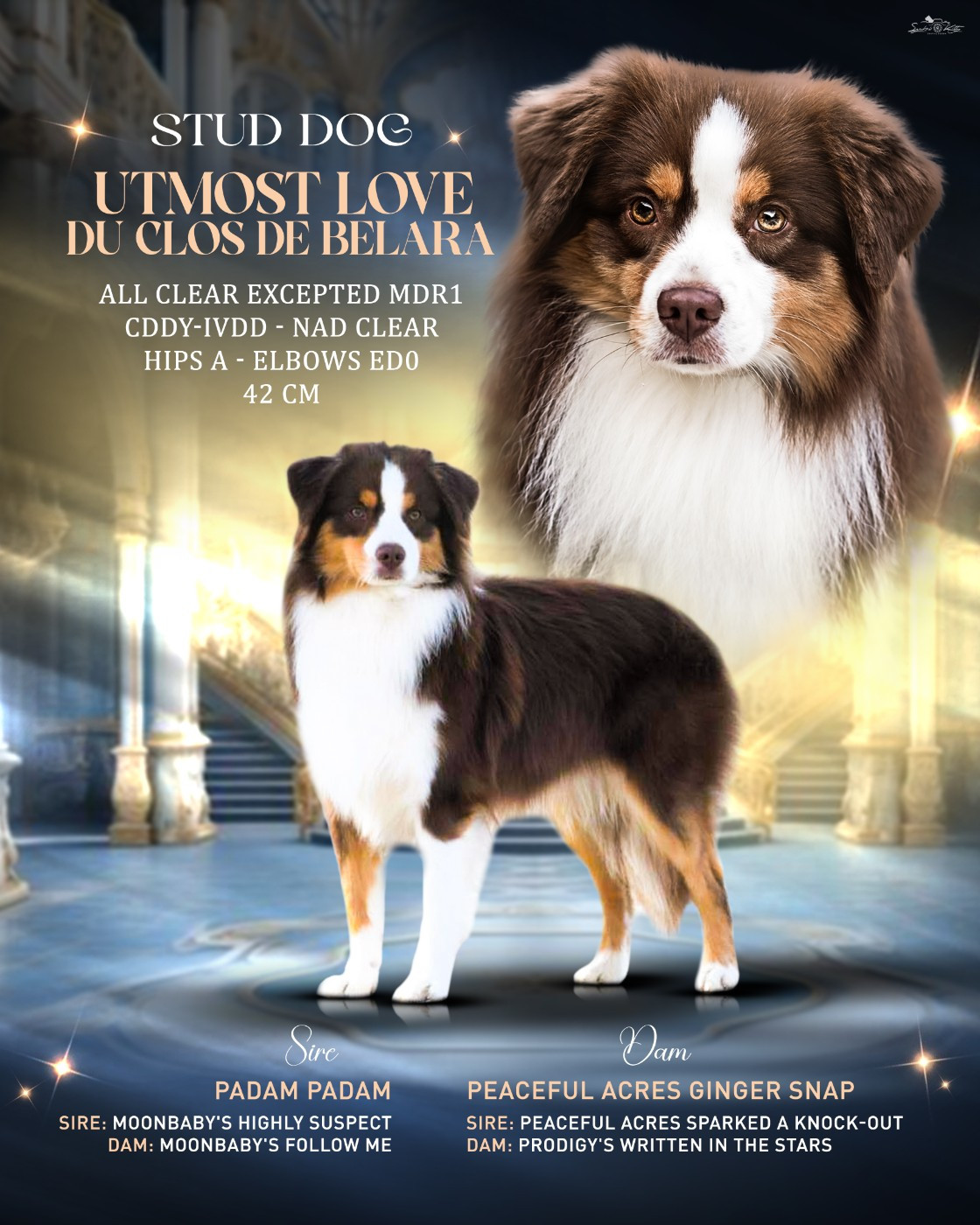 UTMOST LOVE Du Clos De Belara